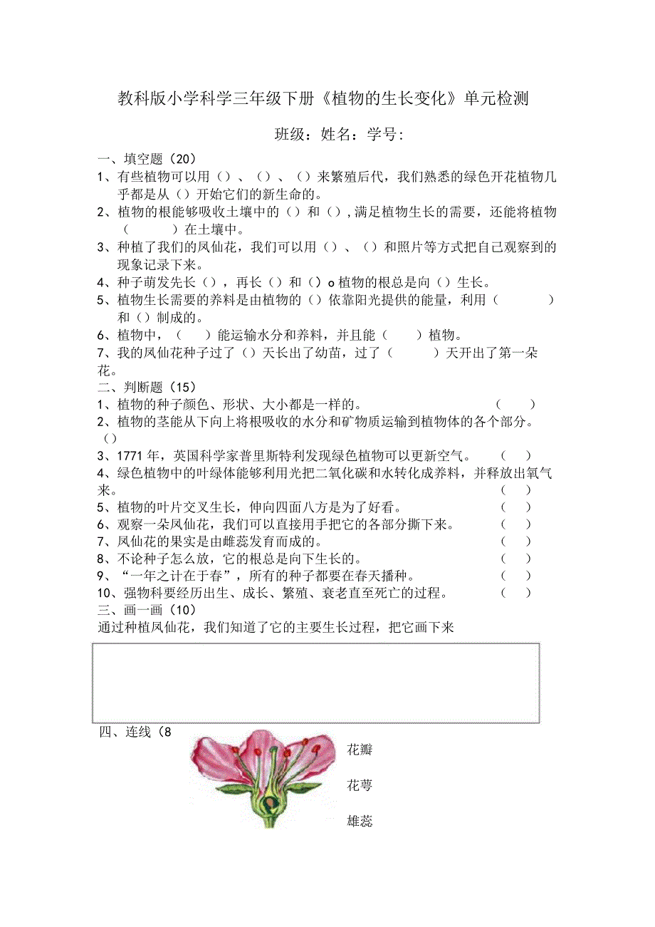 教科版小学科学三年级下册植物的生长变化单元检测.docx_第1页