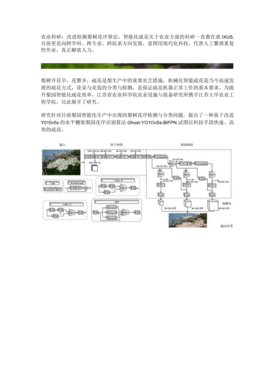 改进检测梨树花序算法科研进展.docx_第1页