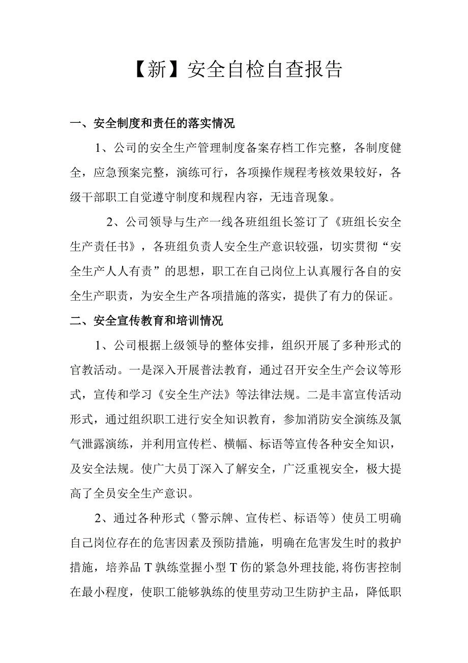 新安全自检自查报告.docx_第1页