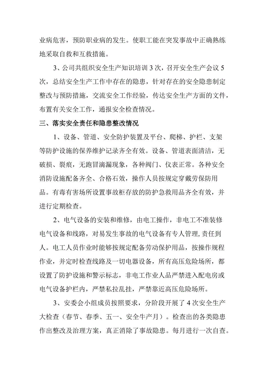 新安全自检自查报告.docx_第2页