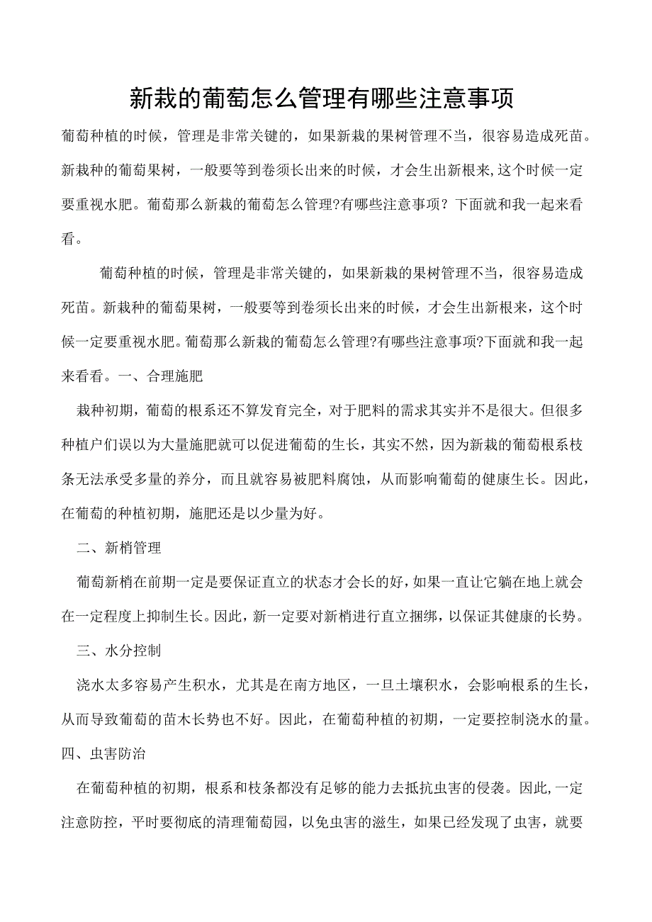 新栽的葡萄怎么管理有哪些注意事项.docx_第1页