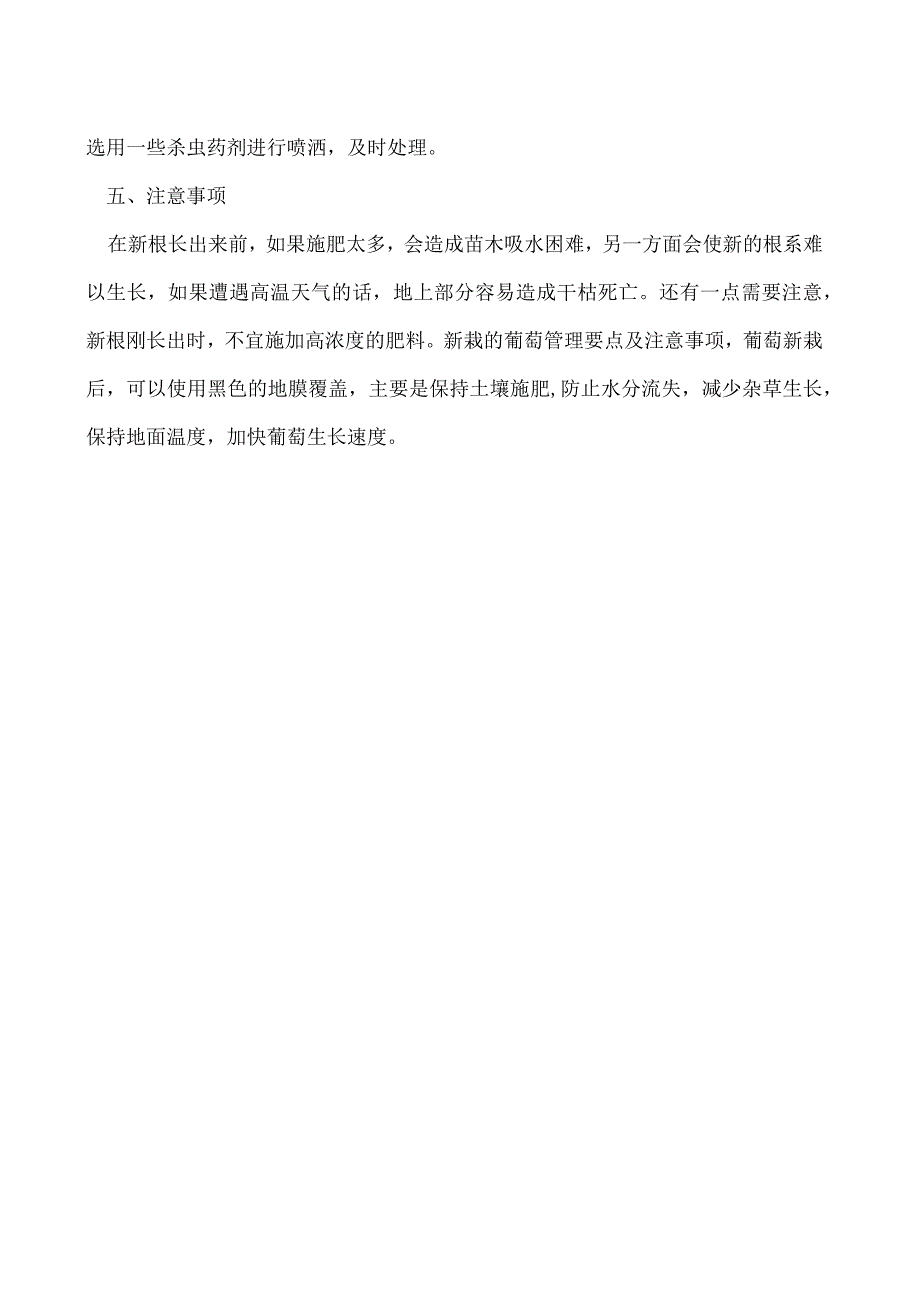 新栽的葡萄怎么管理有哪些注意事项.docx_第2页