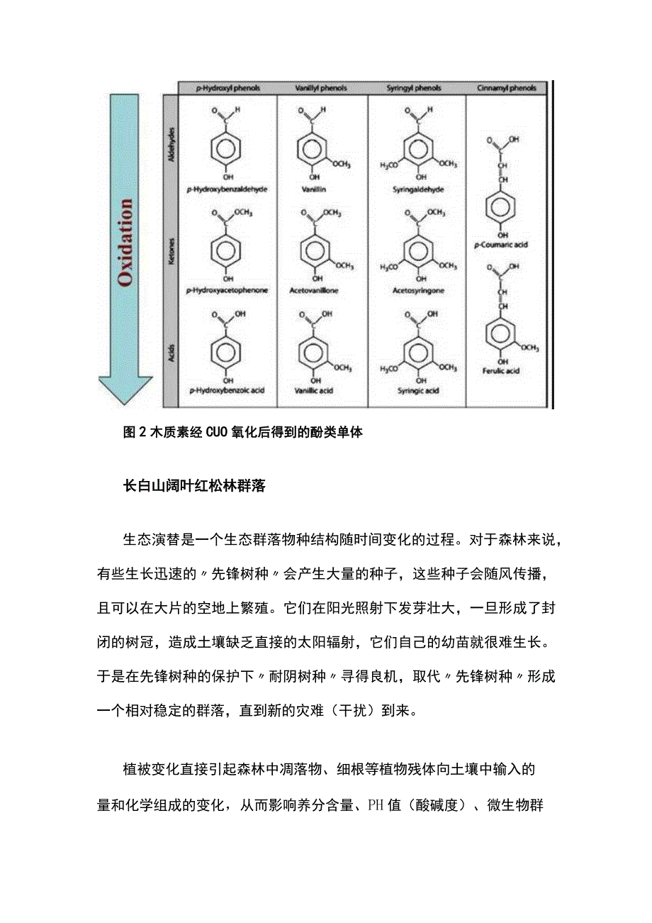 木质素——土壤中植物源有机质“代言人”公开课.docx_第3页