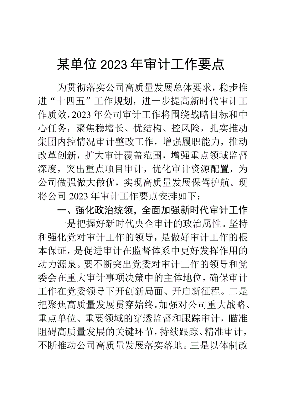 某单位2023年审计工作要点.docx_第1页