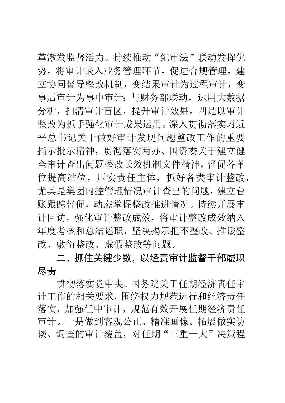 某单位2023年审计工作要点.docx_第2页