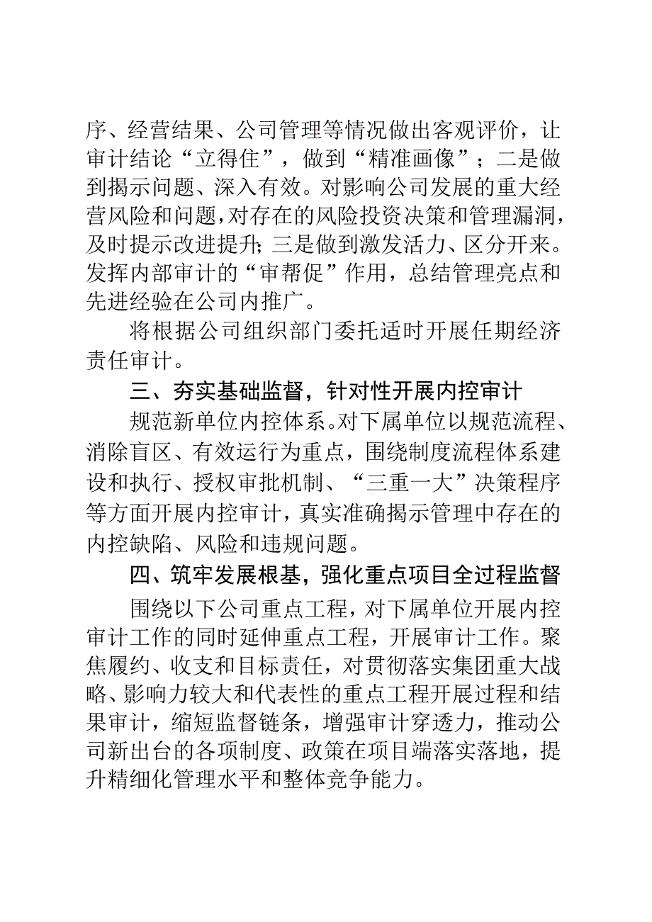 某单位2023年审计工作要点.docx_第3页