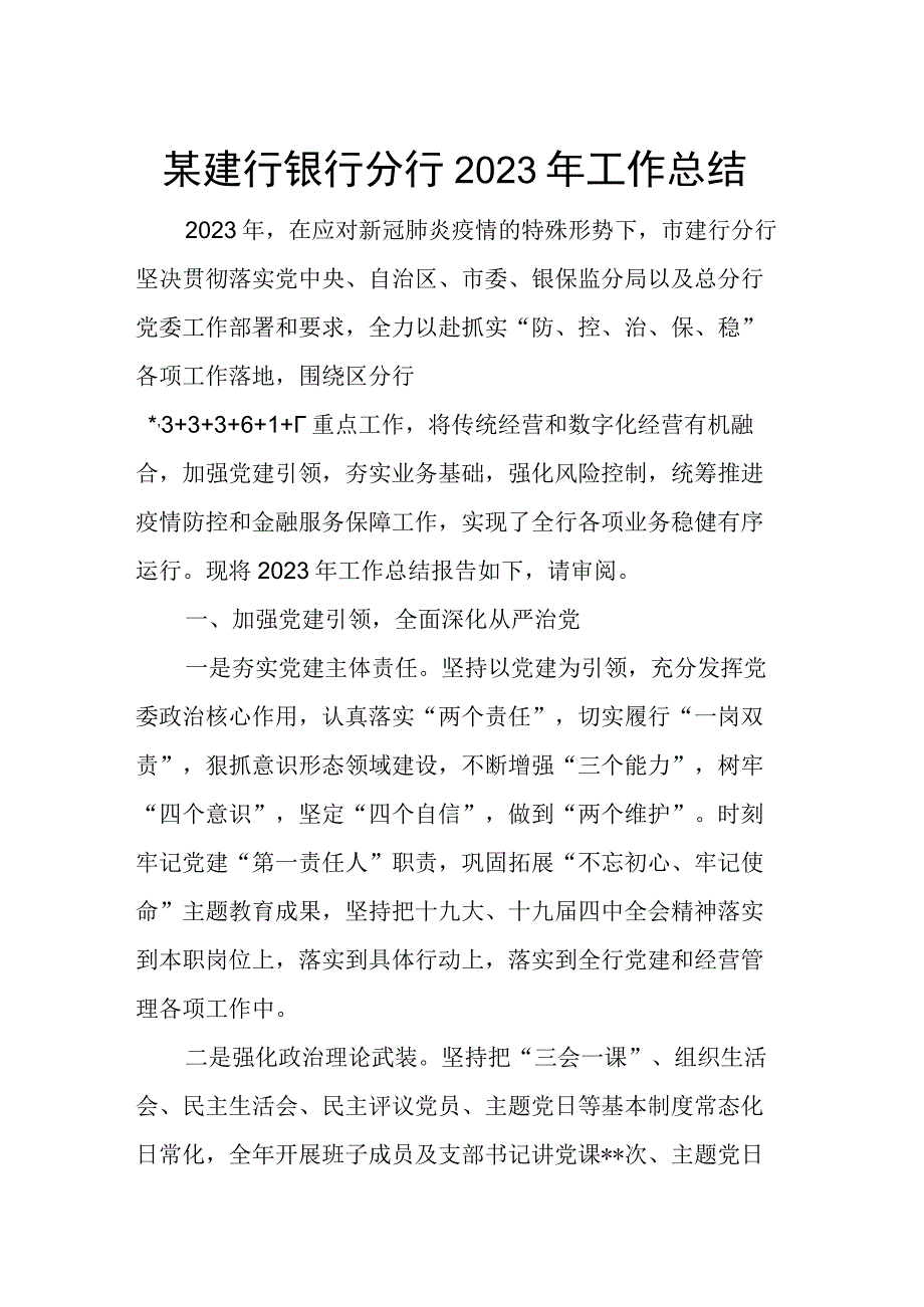 某建行银行分行2023年工作总结.docx_第1页