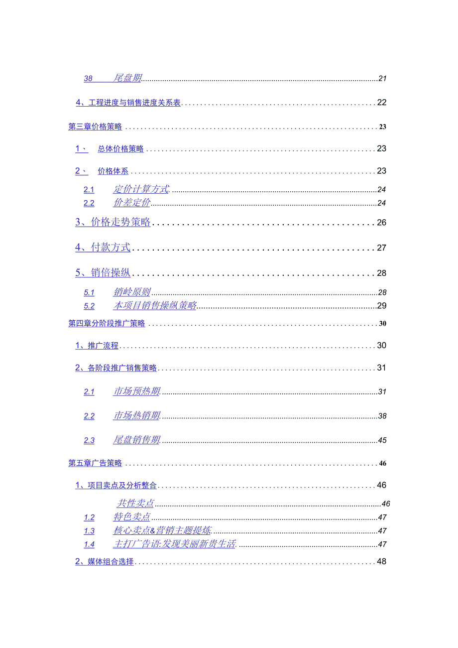 某公司项目总体营销策略报告.docx_第2页