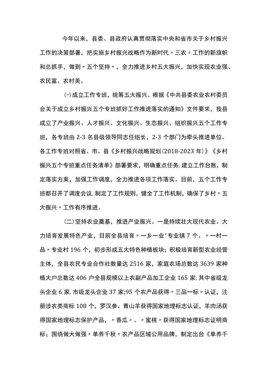 村支部书记乡村振兴报告.docx_第3页