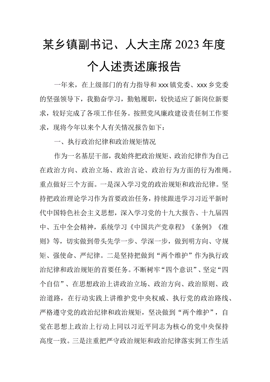 某乡镇副书记人大主席2023年度个人述责述廉报告.docx_第1页