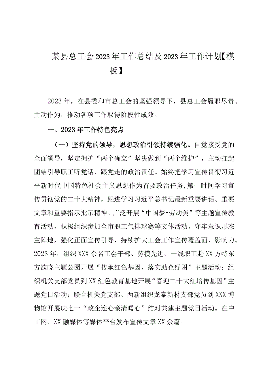 某县总工会2023年工作总结及2023年工作计划模板.docx_第1页