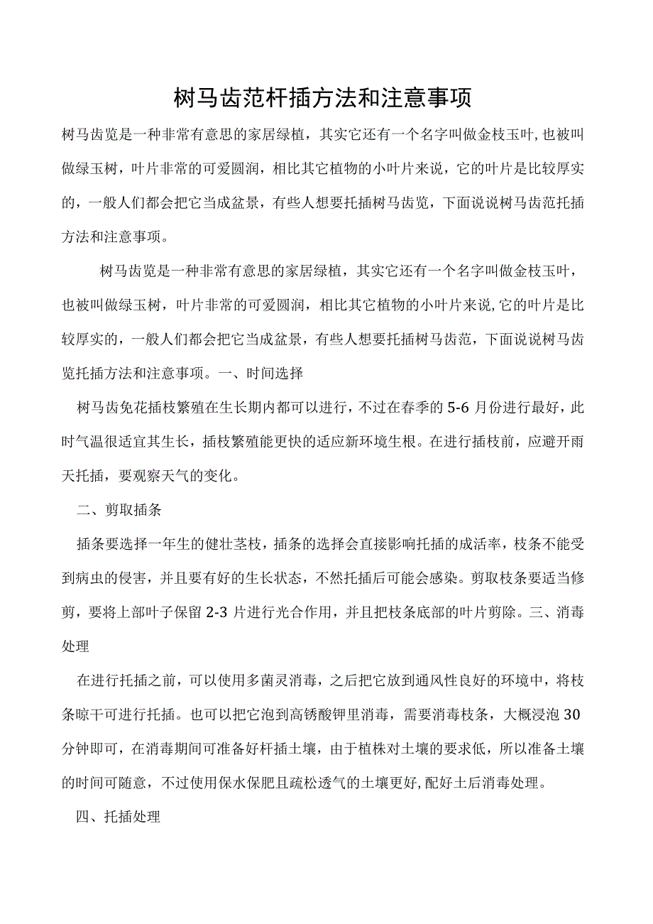 树马齿苋扦插方法和注意事项.docx_第1页