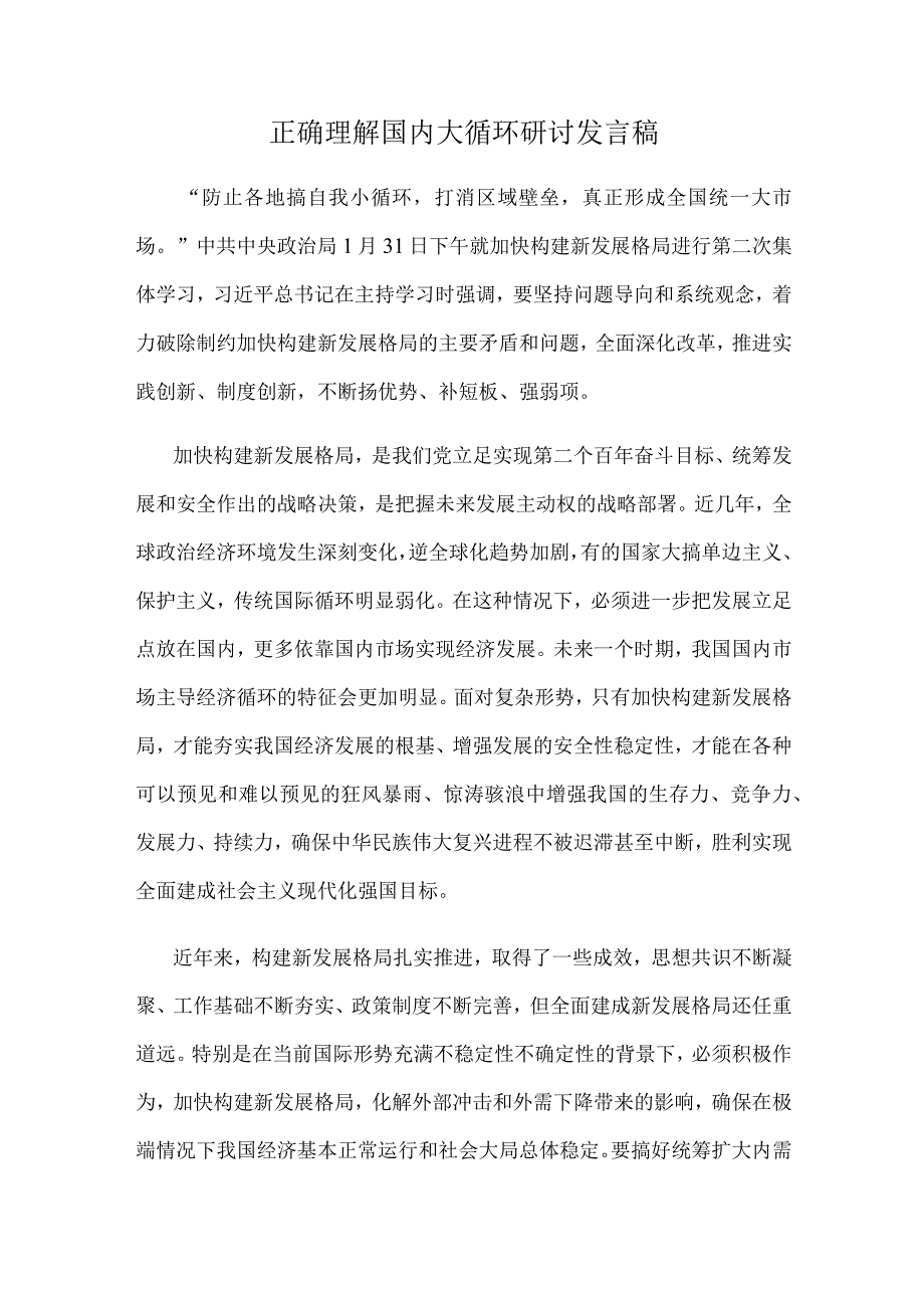 正确理解国内大循环研讨发言稿.docx_第1页