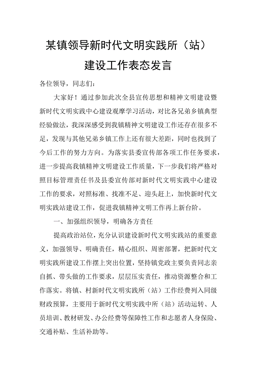 某镇领导新时代文明实践所（站）建设工作表态发言.docx_第1页