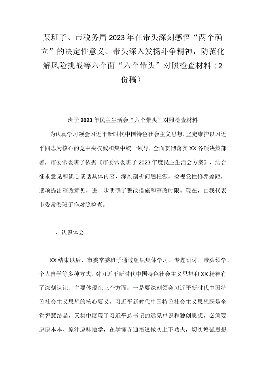 某班子市税务局2023年在带头深刻感悟两个确立的决定性意义带头深入发扬斗争精神防范化解风险挑战等六个面六个带头对照检查材料（2份稿）.docx_第1页