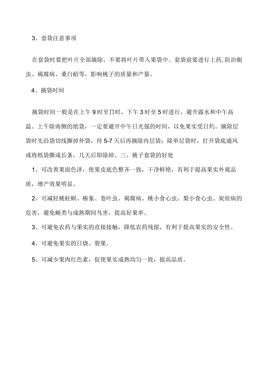 桃子套袋什么时间好如何正确套袋.docx_第2页