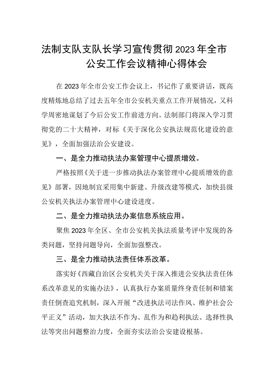 法制支队支队长学习宣传贯彻2023年全市公安工作会议精神心得体会.docx_第1页