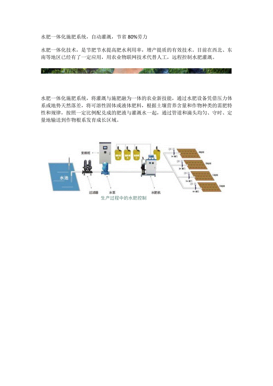 水肥一体化施肥系统.docx_第1页