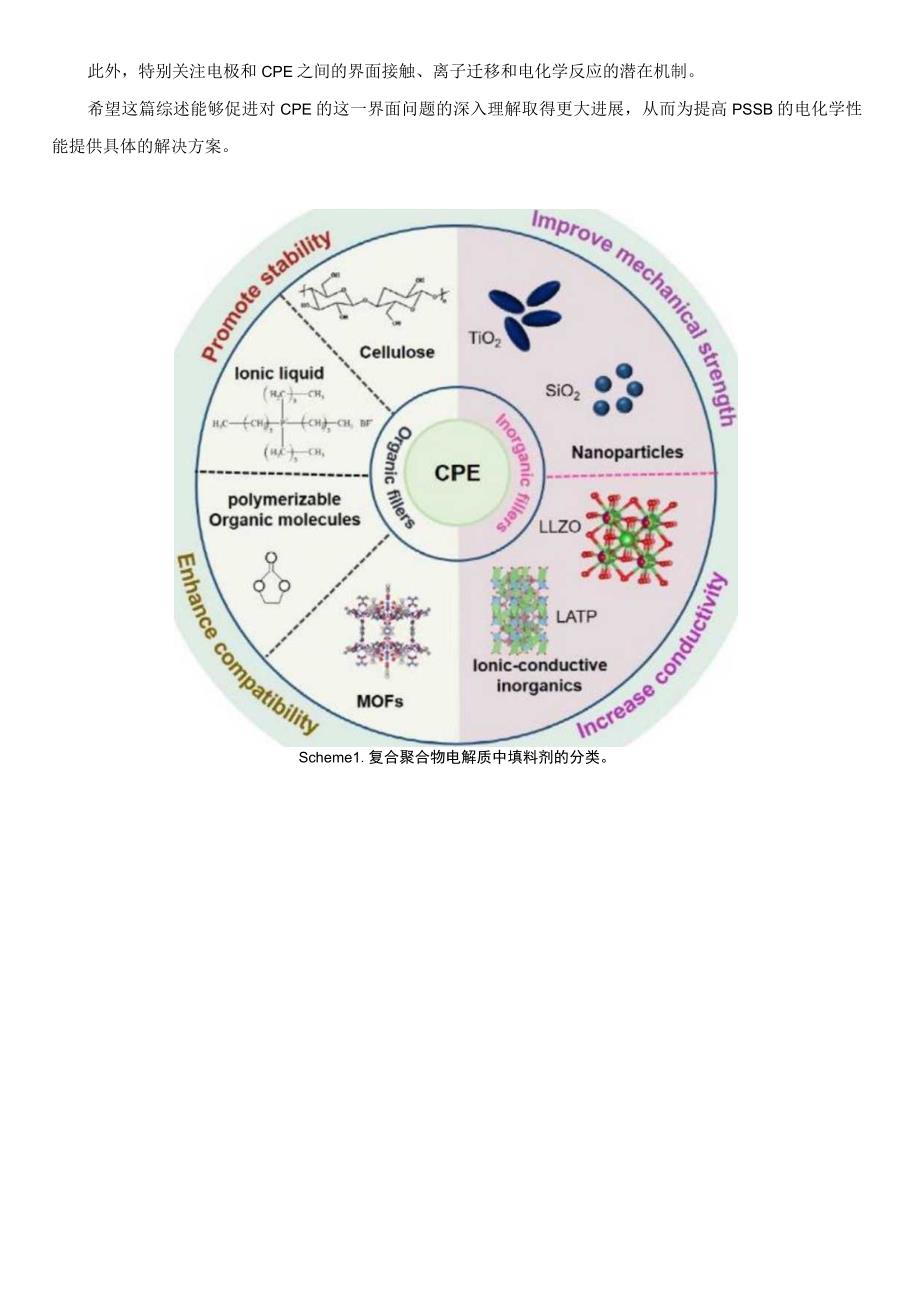 Energy Environ Sci：复合聚合物电解质与电极间稳定界面结构的研究进展.docx_第2页