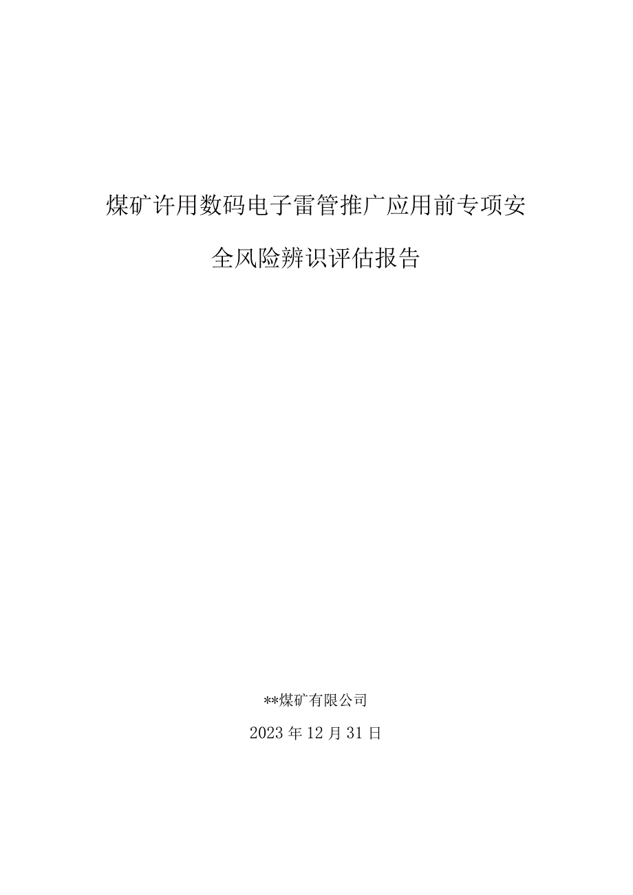 煤矿许用数码电雷管推广应用前前安全风险专项辨识评估报告202312311231.docx_第1页