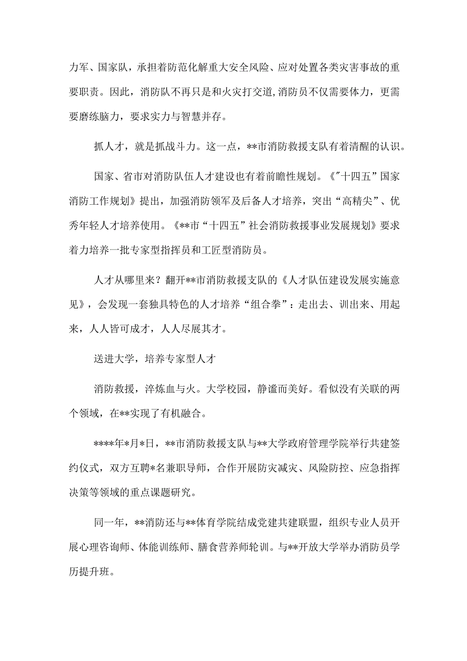 消防救援支队人才队伍建设工作综述.docx_第2页