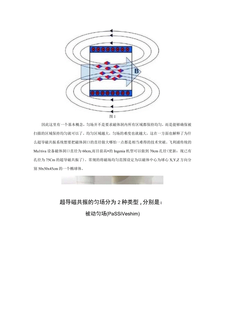 磁共振系统技术之匀场.docx_第2页