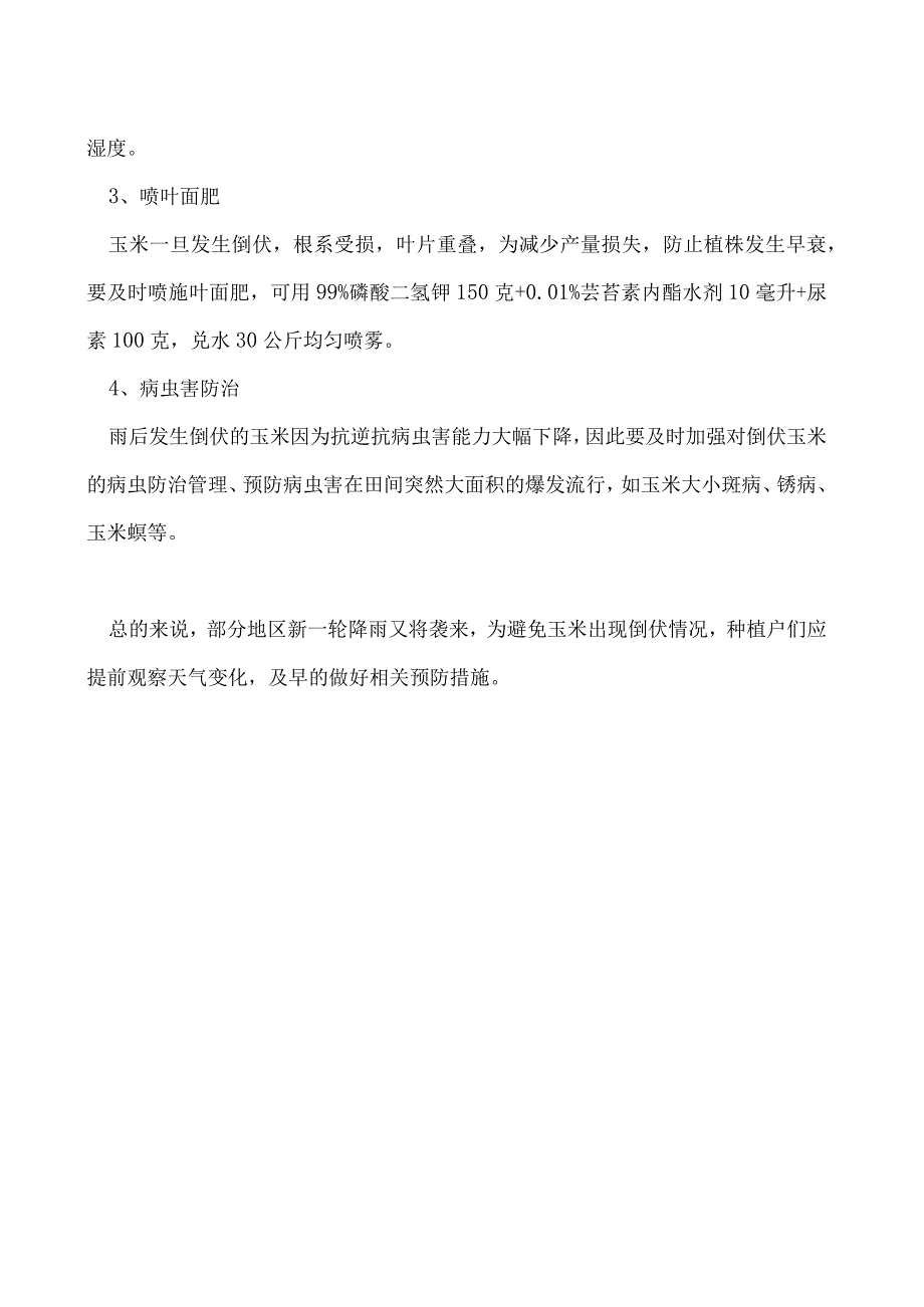 玉米倒伏后应该如何做.docx_第2页