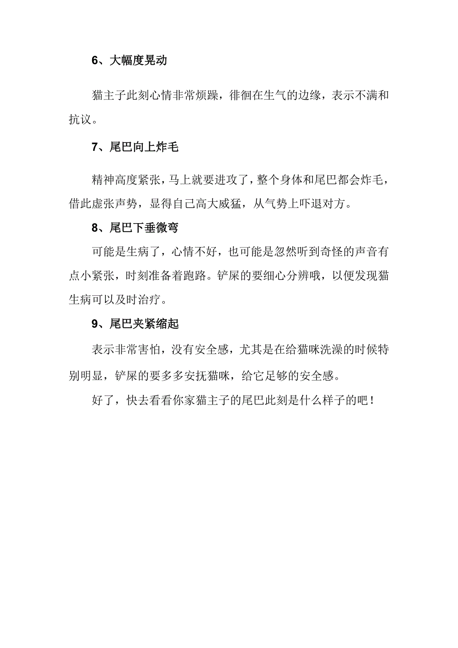 猫咪行为解读尾巴的学问.docx_第2页