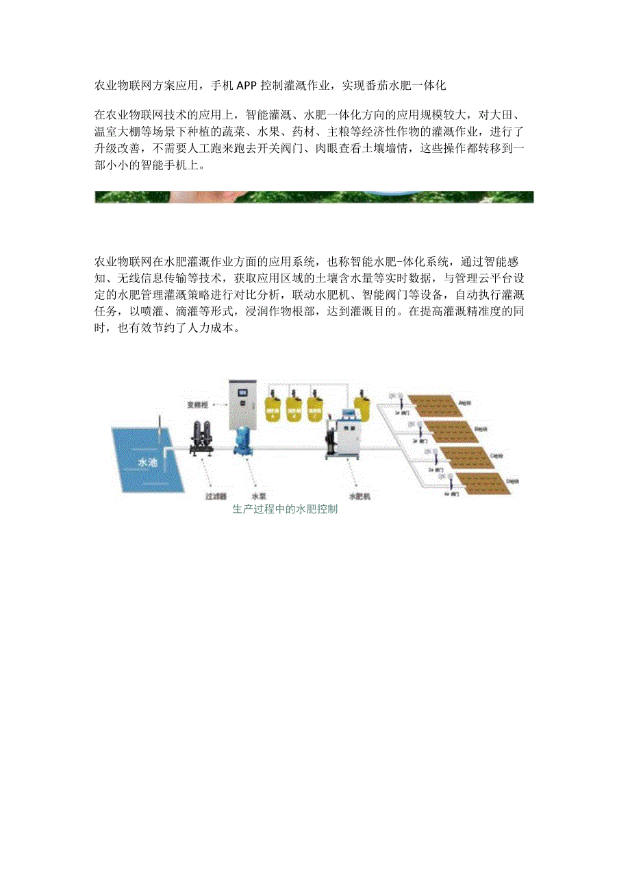 番茄水肥一体化系统应用.docx_第1页