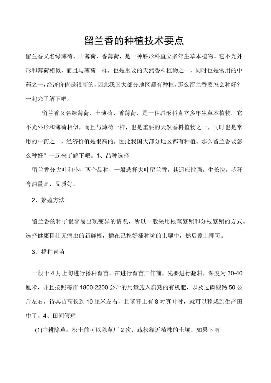 留兰香的种植技术要点.docx_第1页