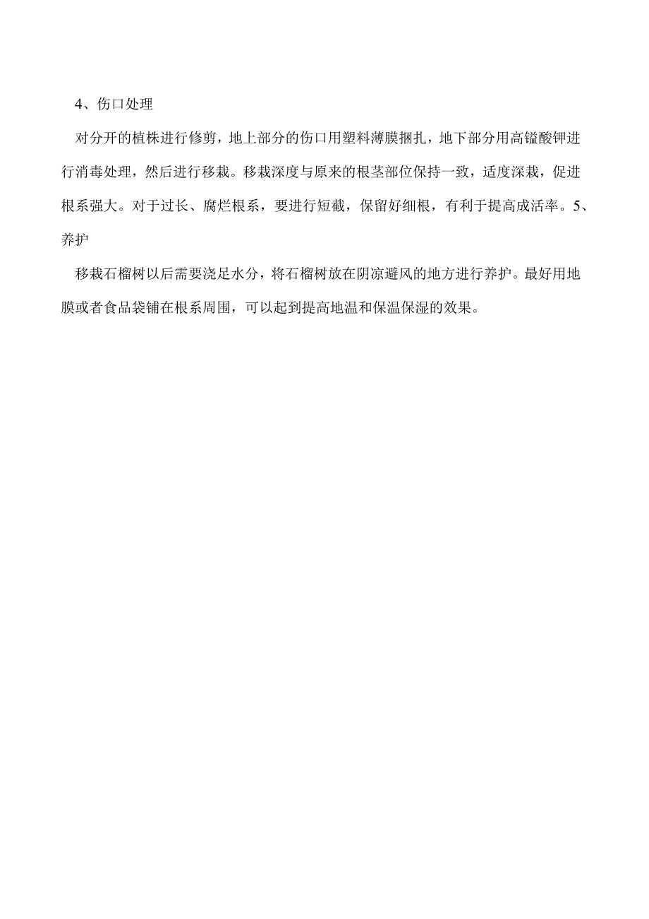 石榴分株繁殖方法.docx_第2页