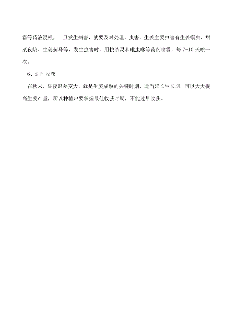 生姜高产田间种植技术.docx_第2页