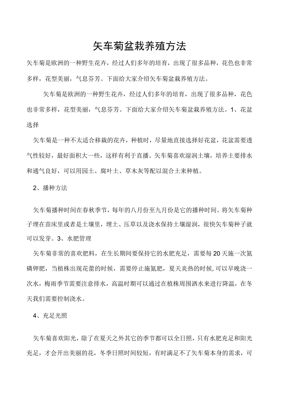 矢车菊盆栽养殖方法.docx_第1页