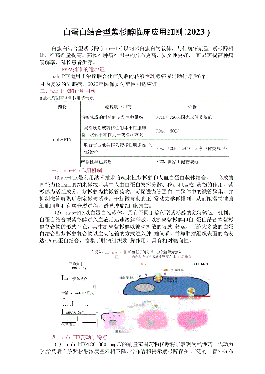 白蛋白结合型紫杉醇临床应用细则2023.docx_第1页