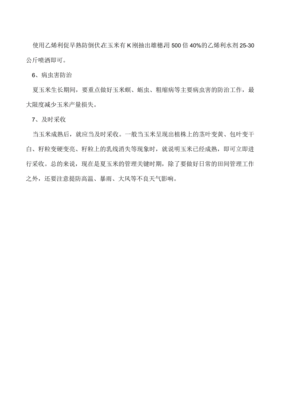 目前夏玉米应如何管理.docx_第2页