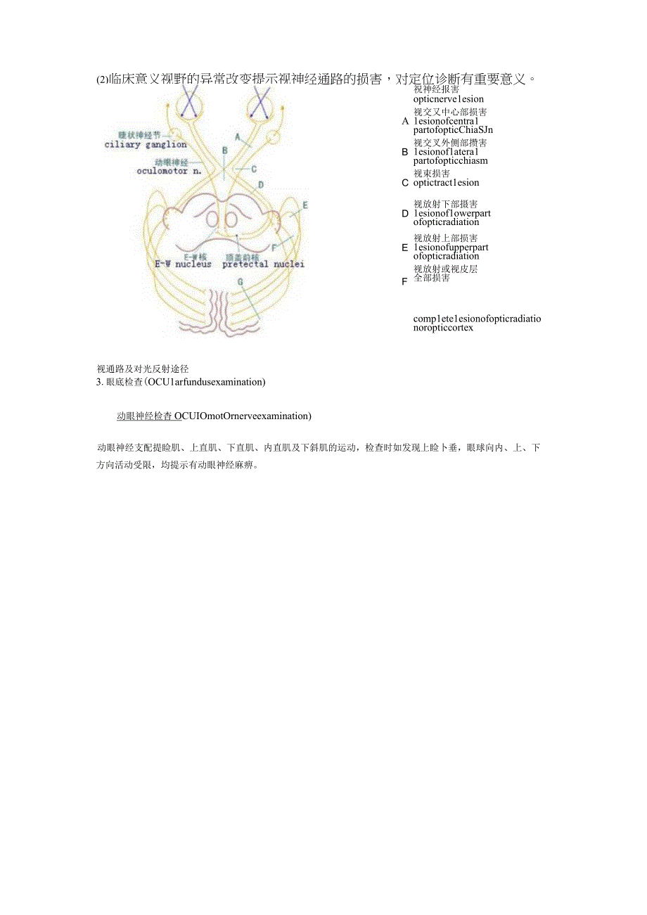 神经系统查体图文详解.docx_第3页