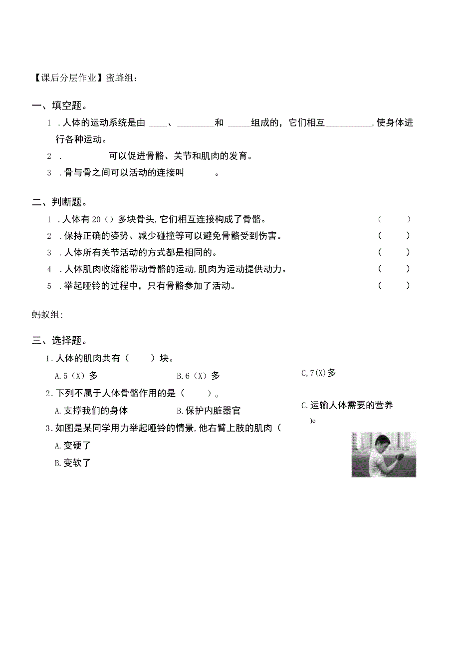 《身体的运动》教学设计.docx_第3页