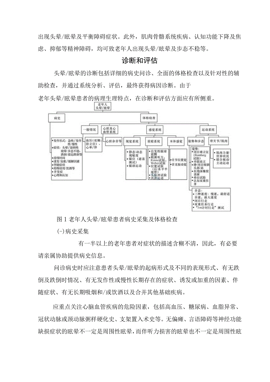 临床老年头晕眩晕患者病因分析诊断评估和对症治疗及注意事项.docx_第2页