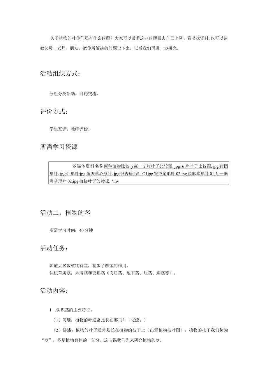 《植物的身体》活动建议方案.docx_第3页