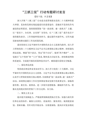 三抓三促行动专题研讨发言二篇.docx