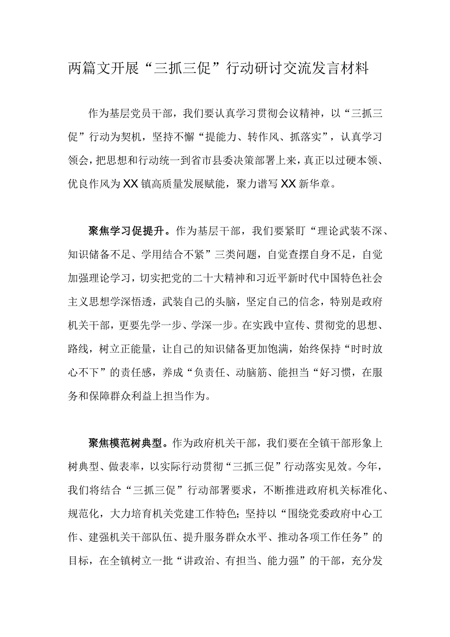 两篇文开展三抓三促行动研讨交流发言材料.docx_第1页