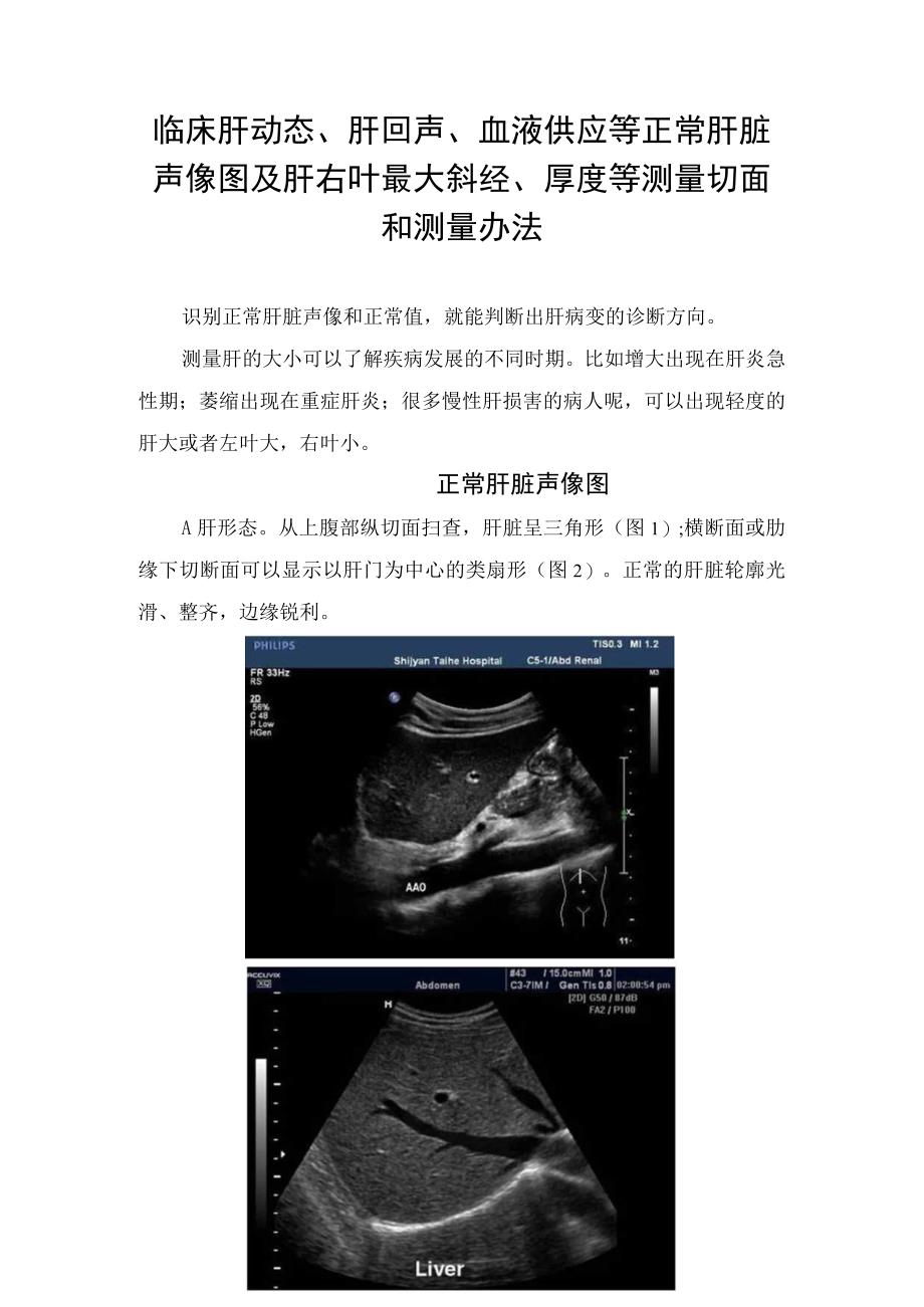 临床肝动态肝回声血液供应等正常肝脏声像图及肝右叶最大斜经厚度等测量切面和测量办法.docx_第1页