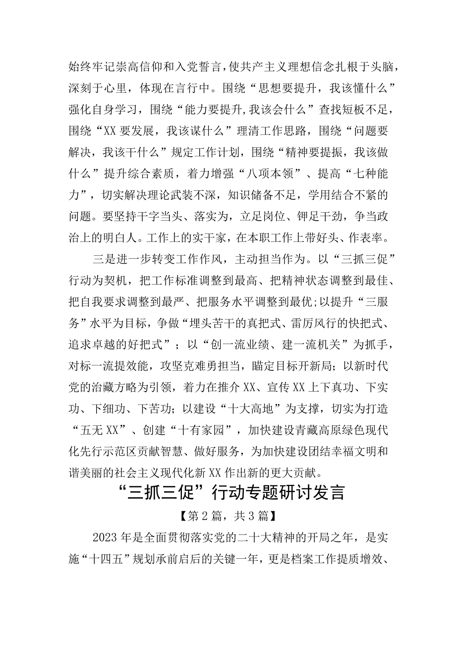 三抓三促行动专题研讨发言材料精选共计三篇_002.docx_第2页