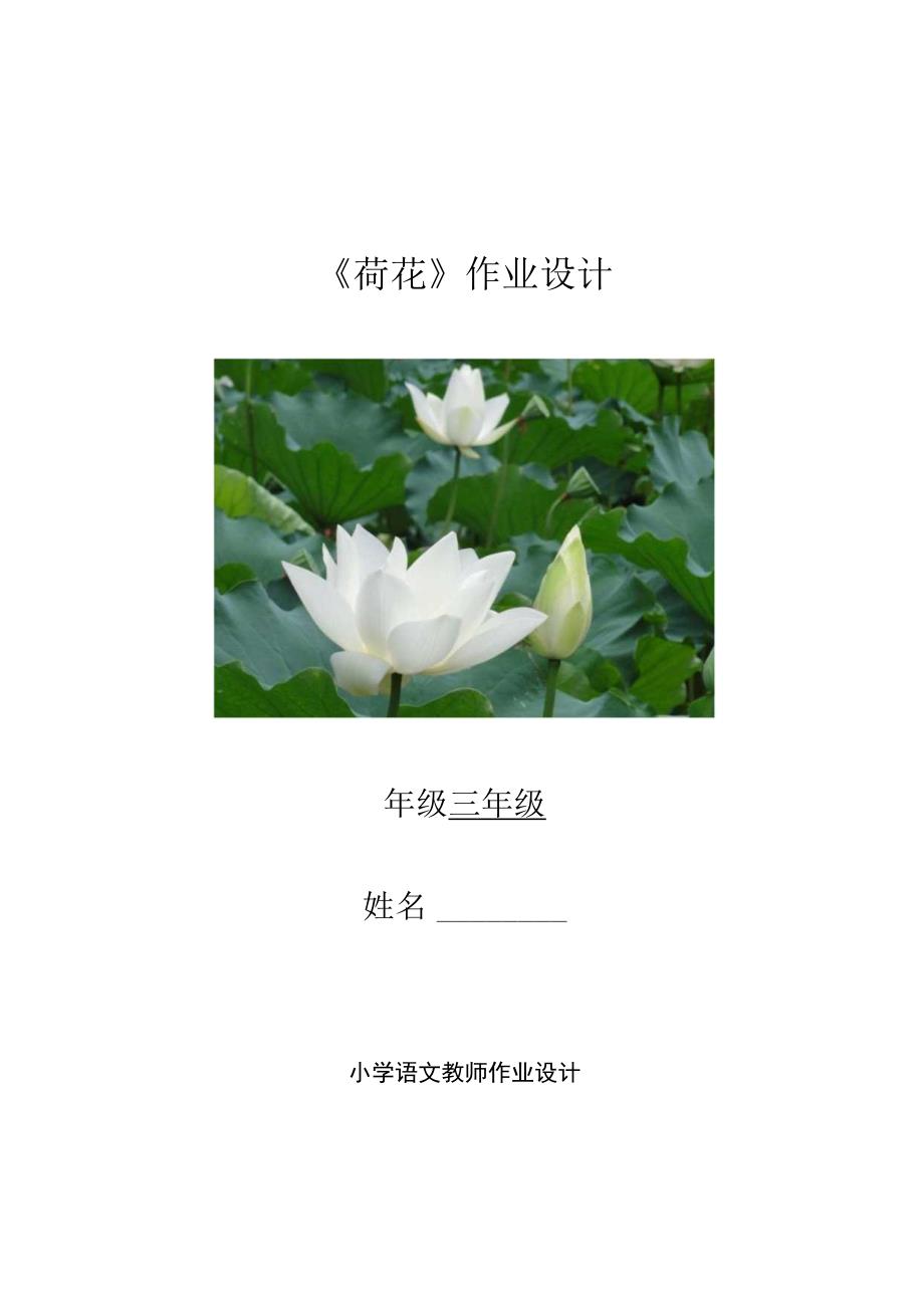 《荷花》优质作业设计.docx_第1页