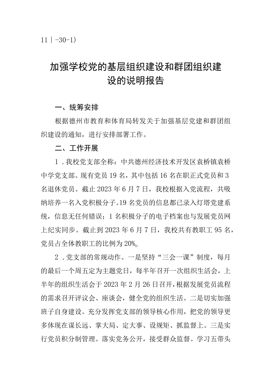 Ⅲ301）东城中学加强学校党的基层组织建设和群团组织建设的说明报告.docx_第1页