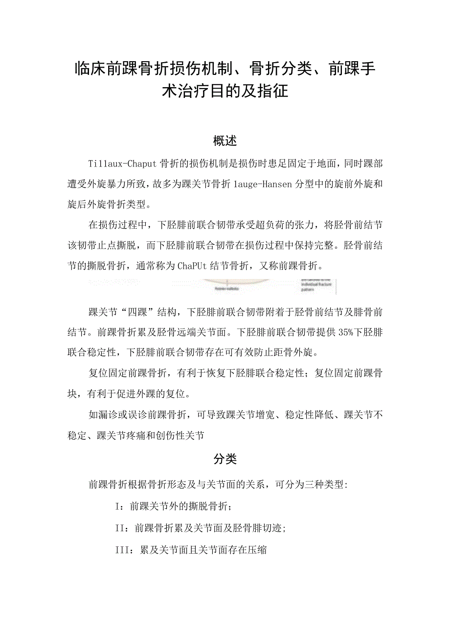 临床前踝骨折损伤机制骨折分类前踝手术治疗目的及手术指征.docx_第1页