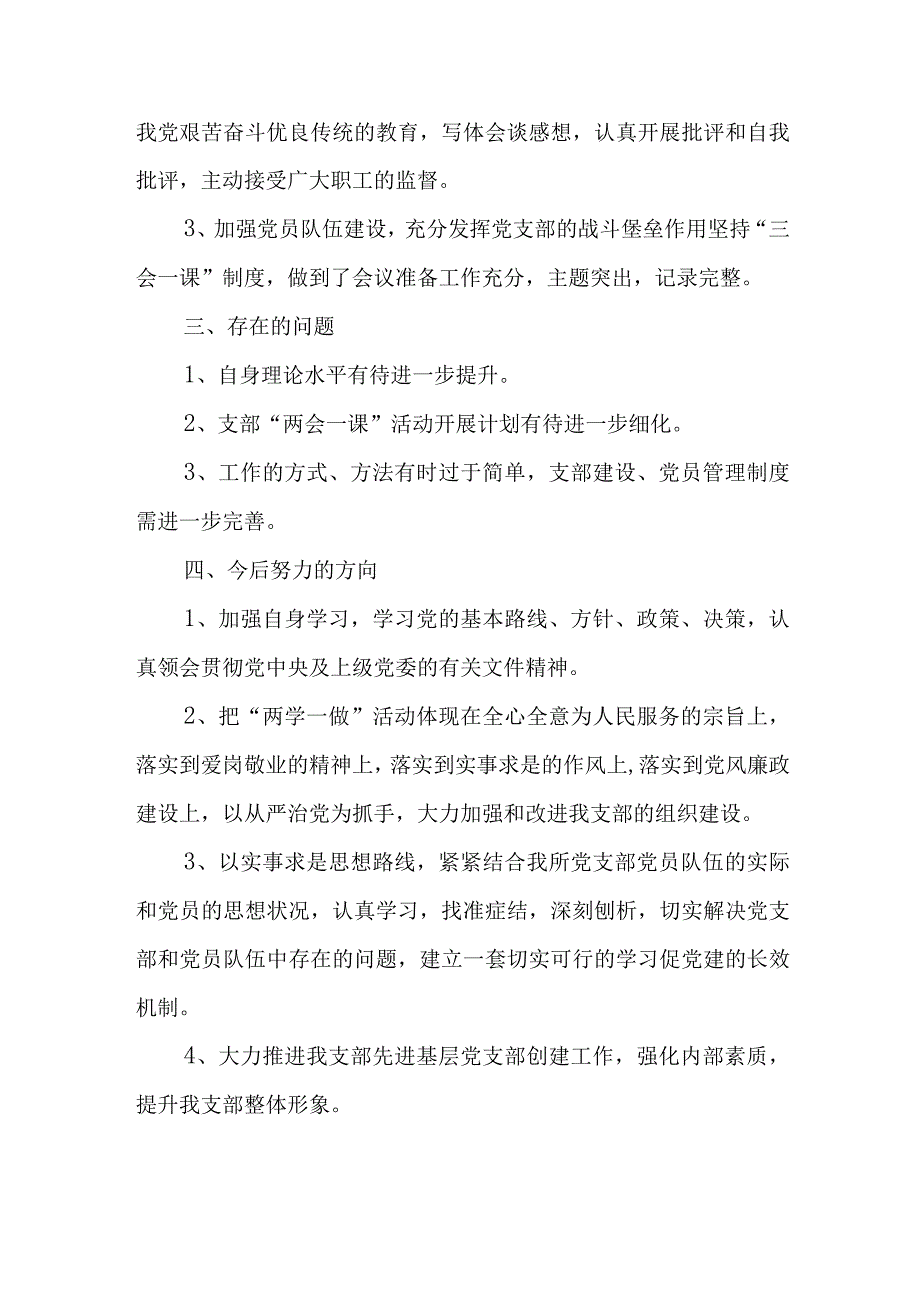 党支部书记述职报告（模板一）.docx_第3页