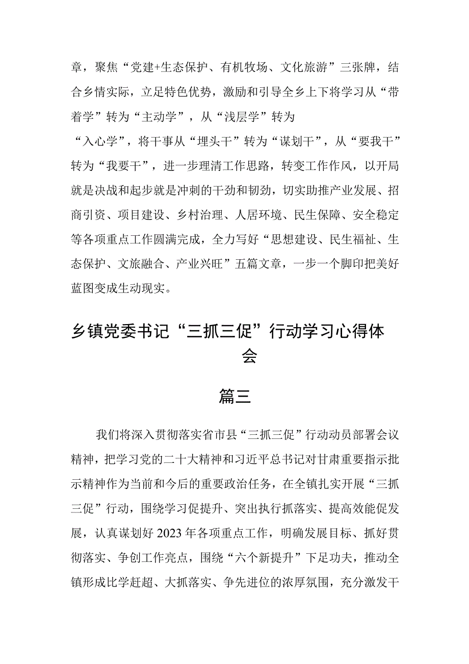 乡镇党委书记三抓三促行动学习心得体会四篇.docx_第2页