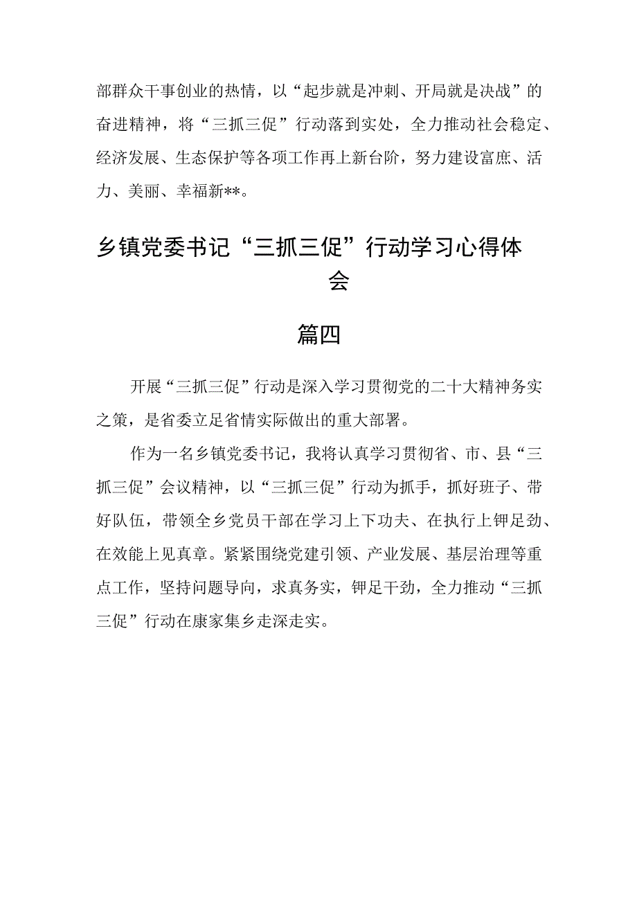 乡镇党委书记三抓三促行动学习心得体会四篇.docx_第3页