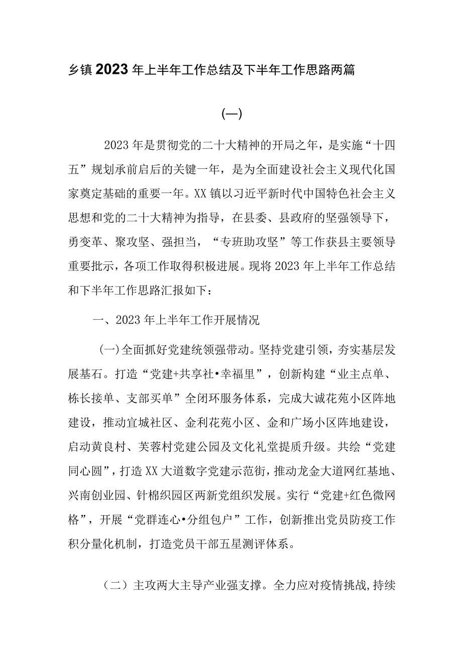 乡镇2023年上半年工作总结及下半年工作思路两篇.docx_第1页